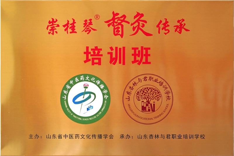 崇桂琴督灸传承培训班